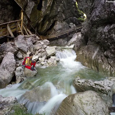 Haus Am Wald * دونيغسباشوالد