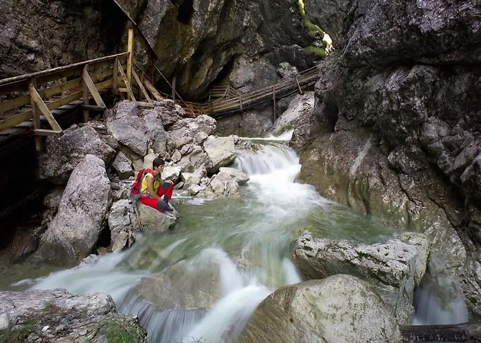 Haus Am Wald * Donnersbachwald